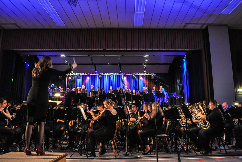 Stimme trifft Instrumente 2015